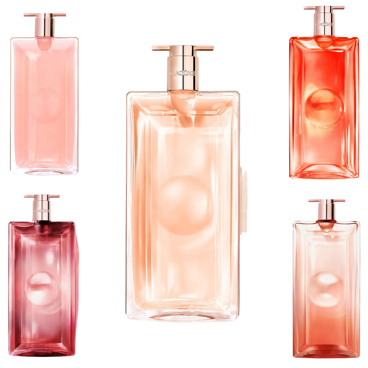 Idôle Extended Bundle