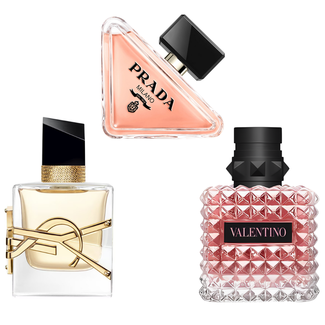 Women's Summer Basic Bundle